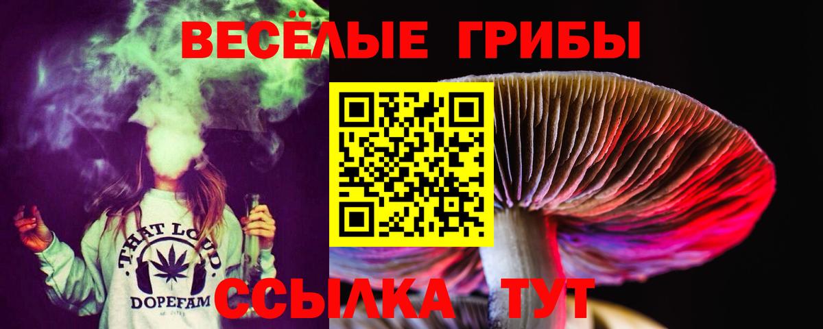 Галлюциногенные грибы Psilocybine cubensis  Вход с VPN  Галлюциногенные грибы MAGIC MUSHROOMS  Вязники 